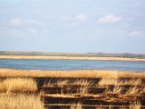 Danube Delta / delta Dunaje