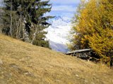 Valais