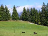 Valais