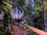 Les Gorges du Durnand