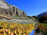 Château de Tourbillon and vineyard, Sion