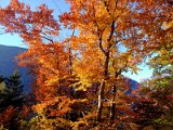 Valais