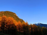 Col des Planches