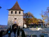 Schloss Laufen am Rheinfall